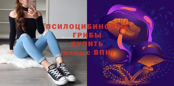 герыч Алексин