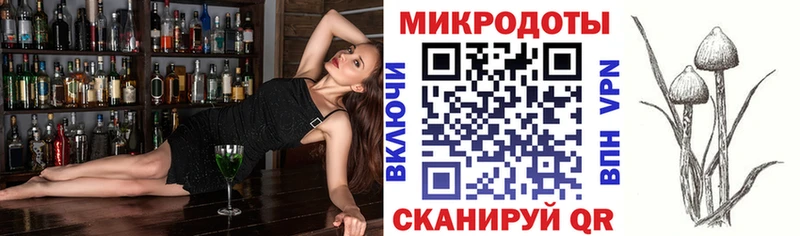цены наркотик  Павлово  Галлюциногенные грибы Psilocybe 