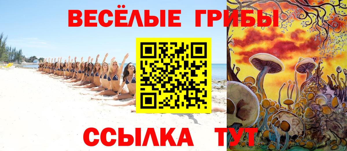 Галлюциногенные грибы прущие грибы Павлово